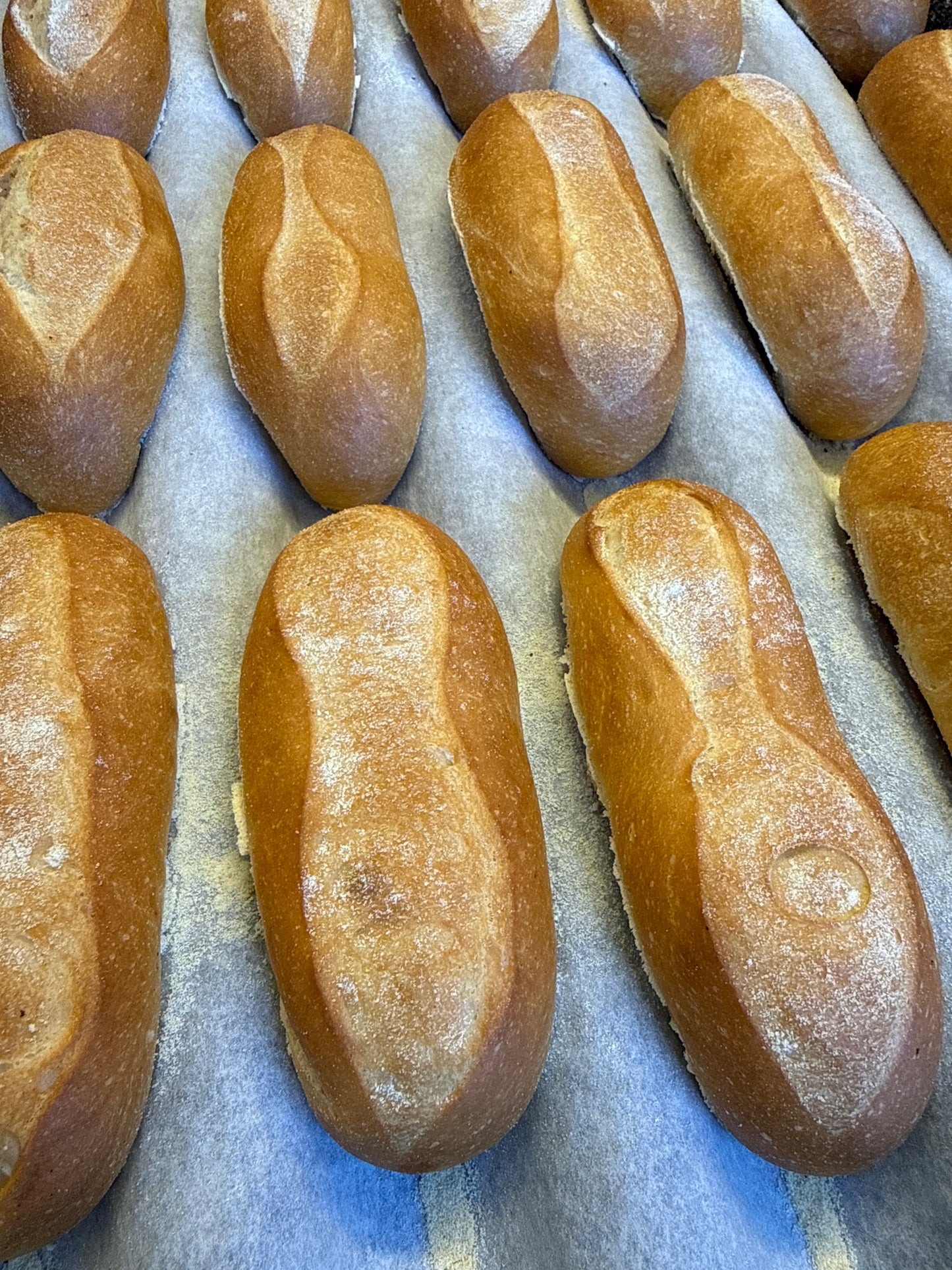Hamburgarbröd Brioche Potato